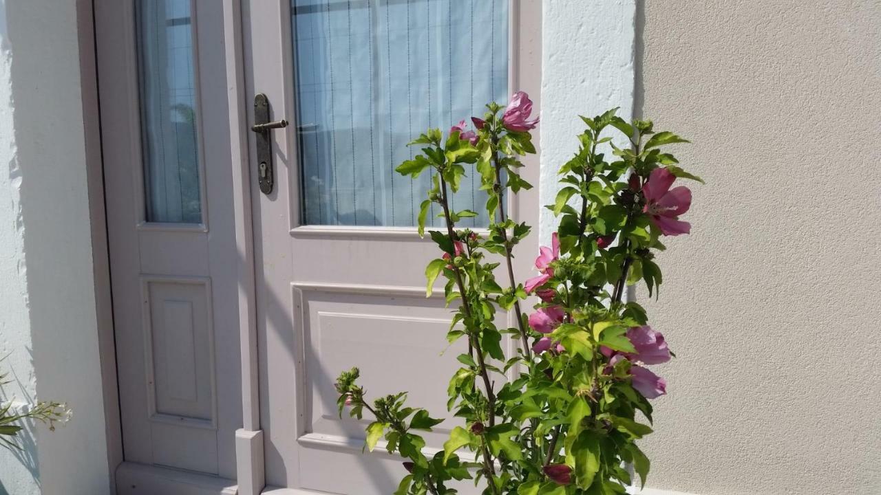 Vila Flora Sečovlje 외부 사진